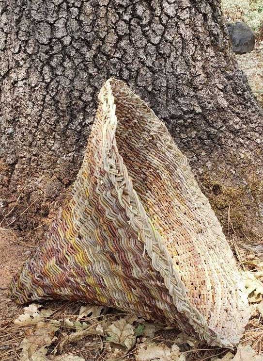 Native American basket